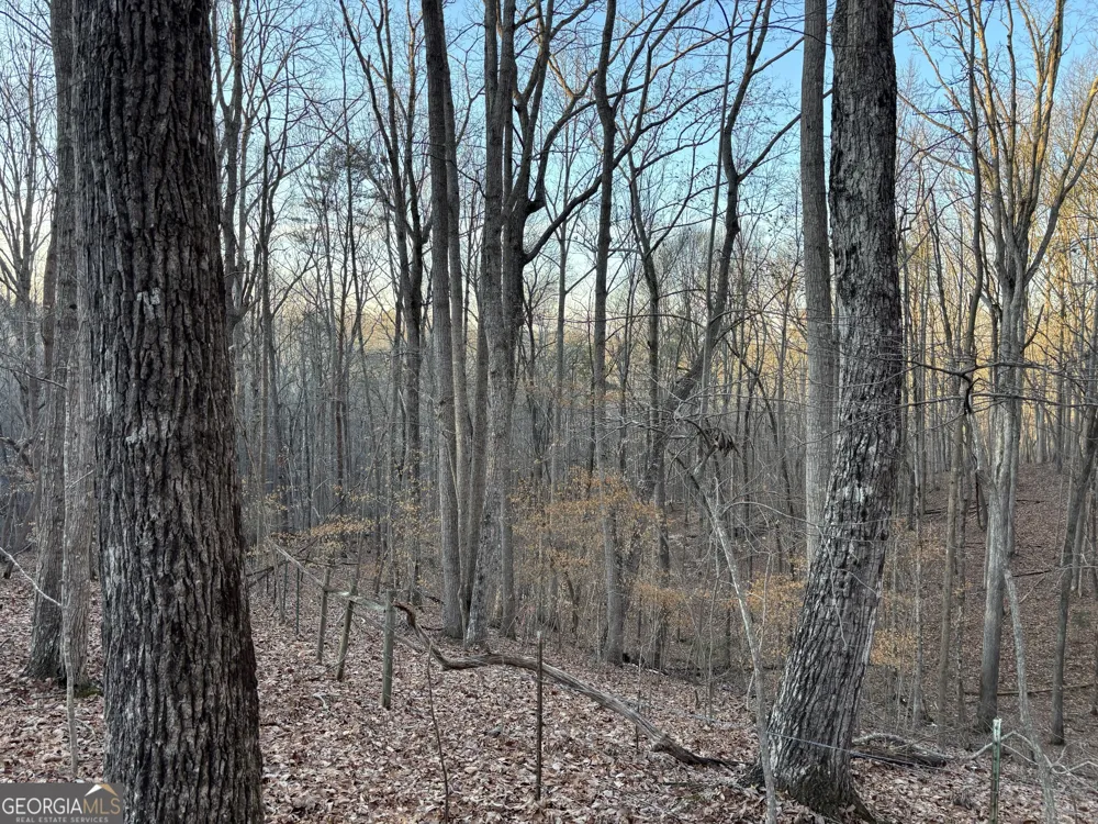 7175 Anderson Lake RD Dawsonville, GA 30534