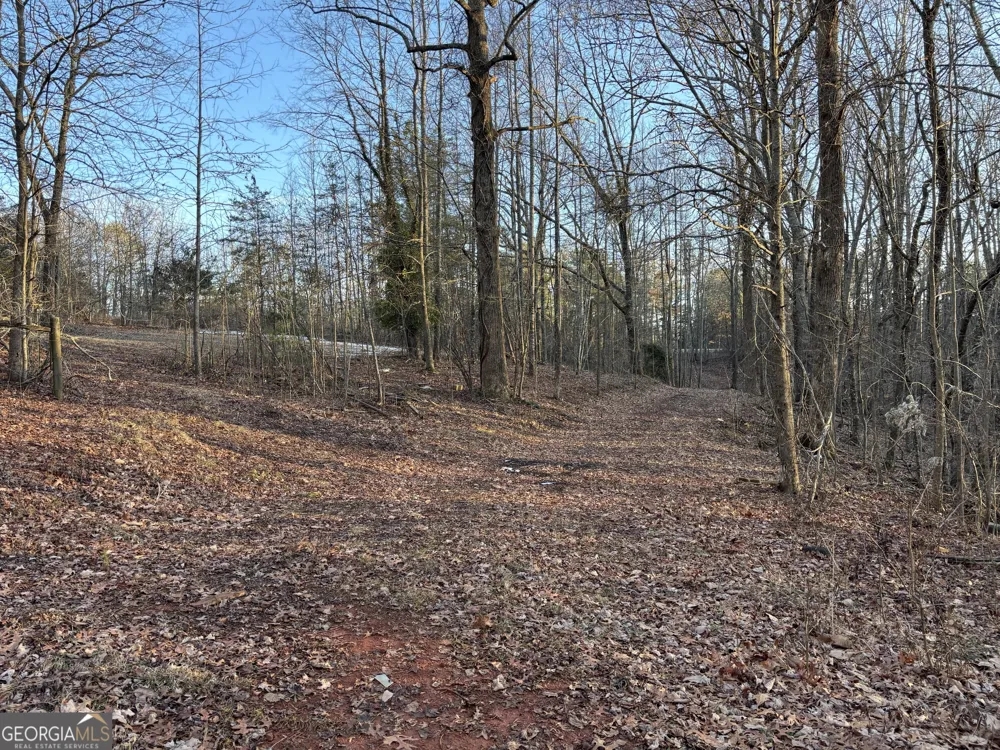 7175 Anderson Lake RD Dawsonville, GA 30534