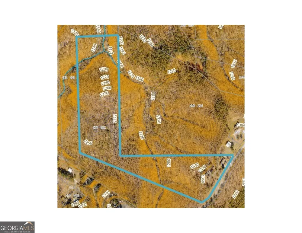 7175 Anderson Lake RD Dawsonville, GA 30534