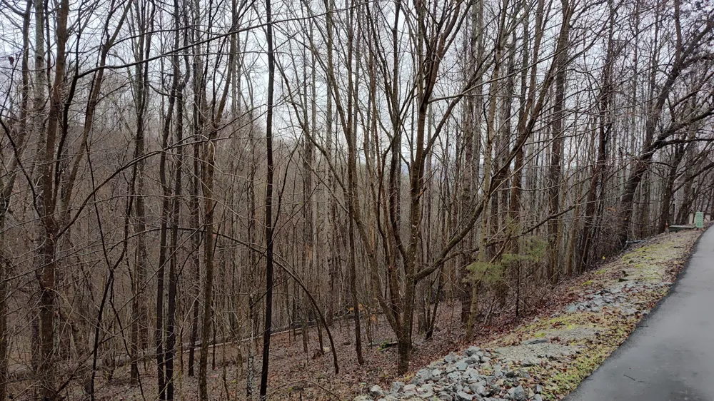 35 Bay View Dr Lancaster, TN 38569