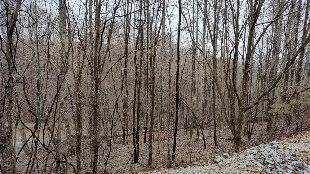 35 Bay View Dr Lancaster, TN 38569