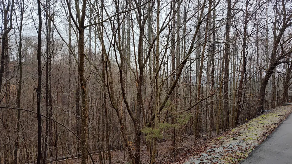 35 Bay View Dr Lancaster, TN 38569