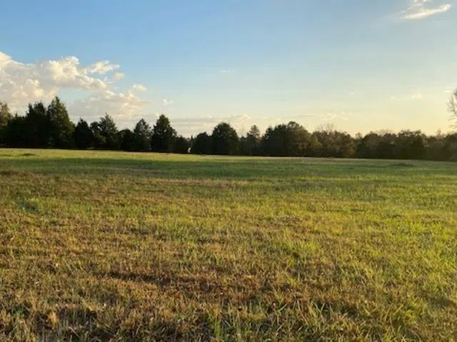 732 New Hope McDonough, GA 30252