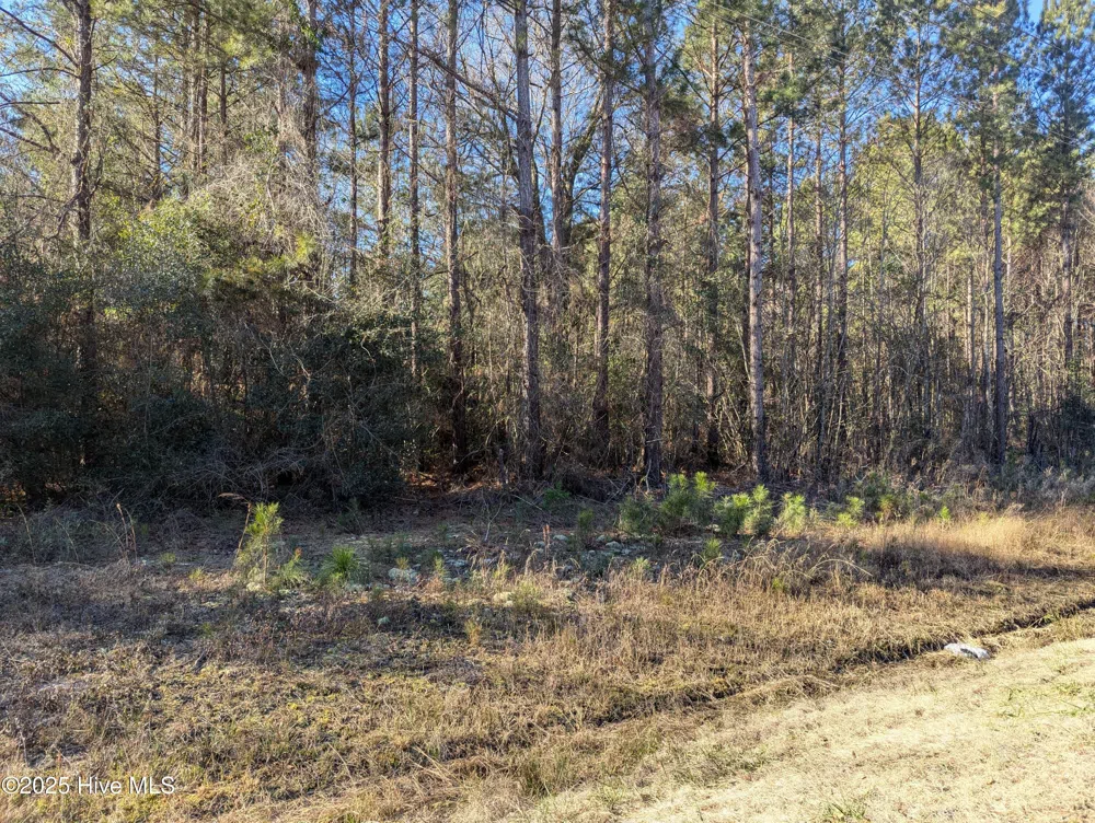 26688 Nc-210 Kelly, NC 28448