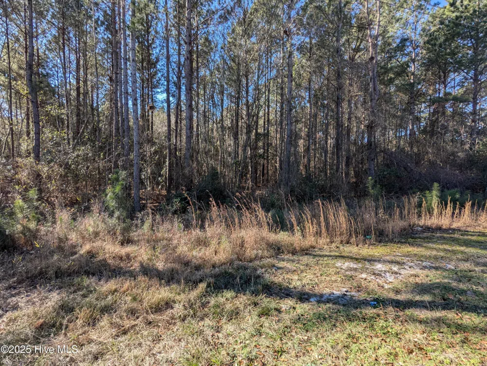26688 Nc-210 Kelly, NC 28448