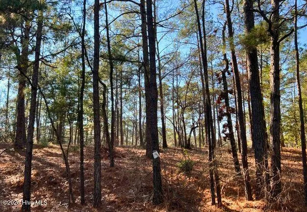 433 Thimbleberry Drive Vass, NC 28394
