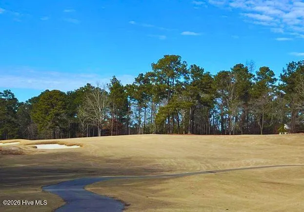 433 Thimbleberry Drive Vass, NC 28394