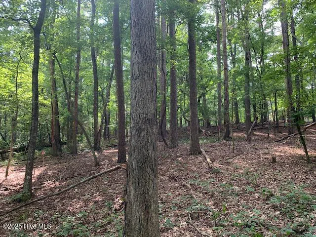 54 Palomino Road Carthage, NC 28327