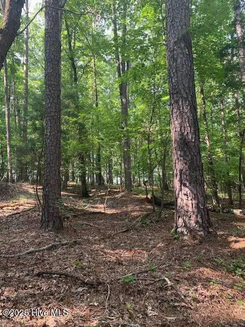 54 Palomino Road Carthage, NC 28327