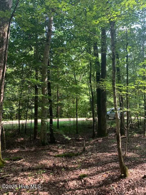 54 Palomino Road Carthage, NC 28327