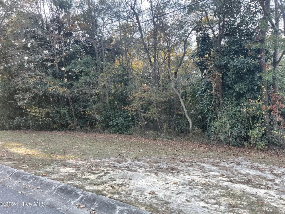 408 Lake Pines Drive La Grange, NC 28551