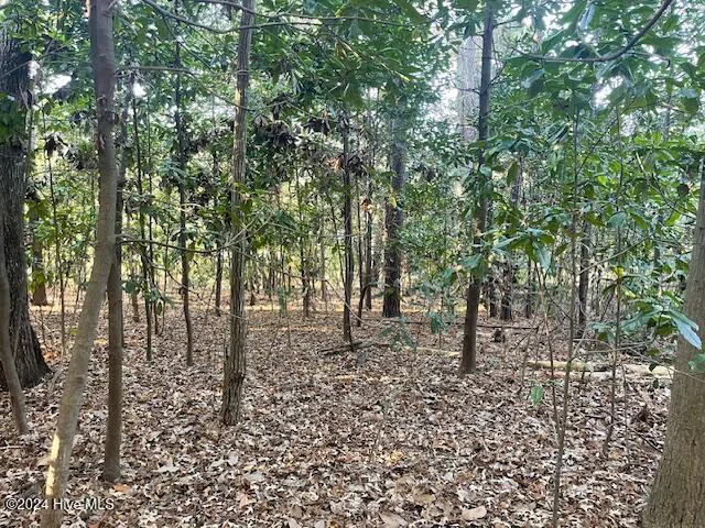 408 Lake Pines Drive La Grange, NC 28551
