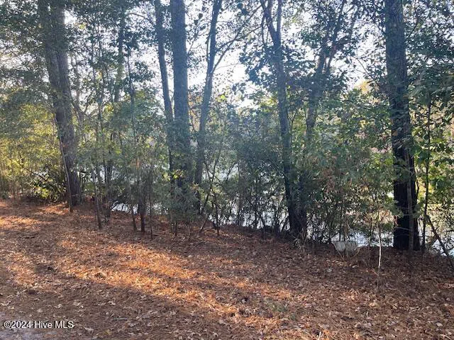 408 Lake Pines Drive La Grange, NC 28551