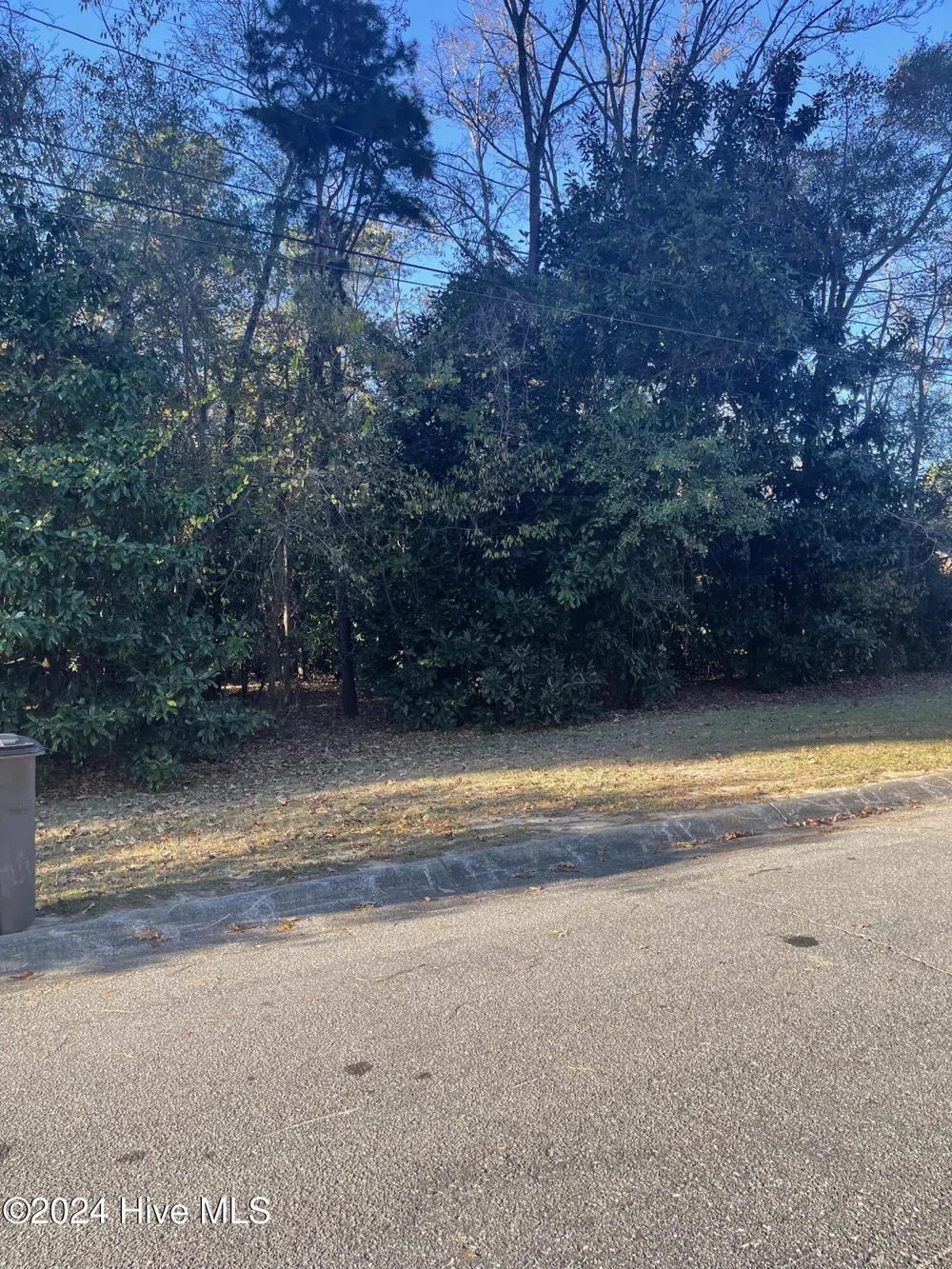 408 Lake Pines Drive La Grange, NC 28551