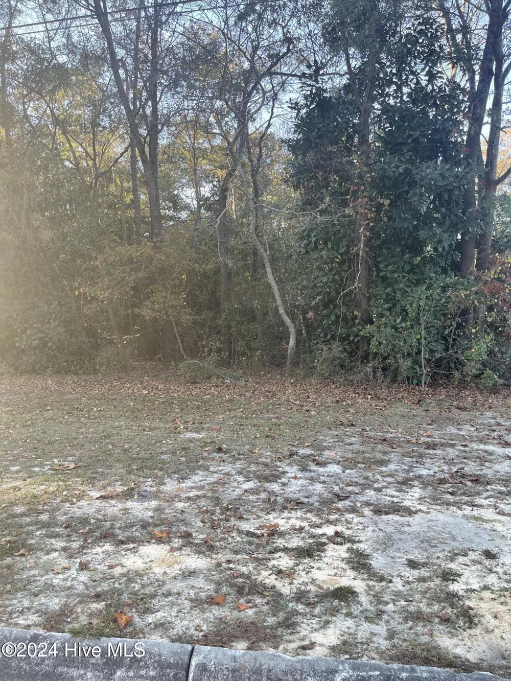 408 Lake Pines Drive La Grange, NC 28551