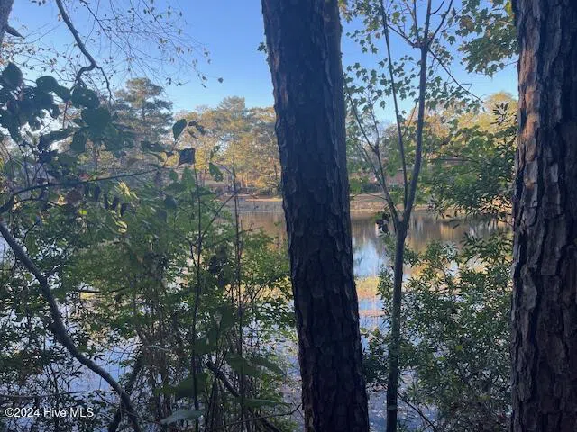 408 Lake Pines Drive La Grange, NC 28551