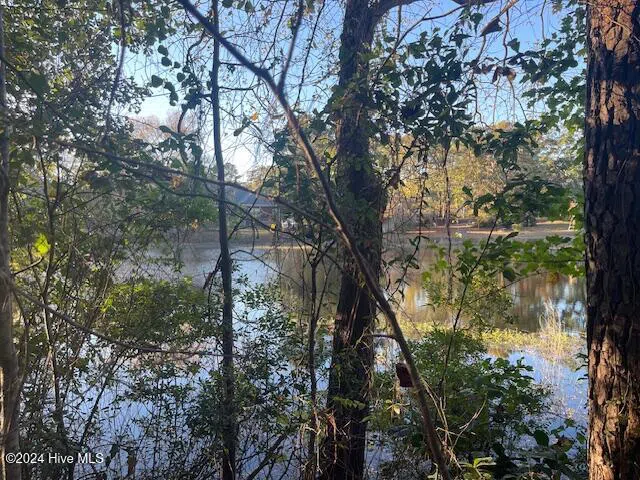 408 Lake Pines Drive La Grange, NC 28551