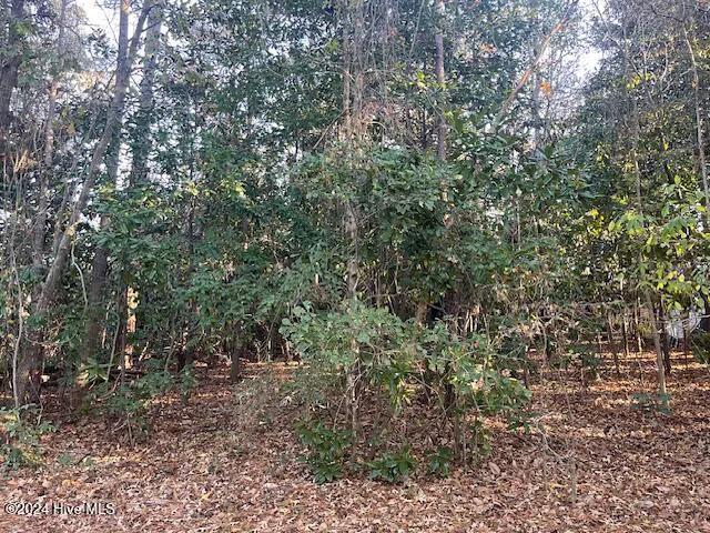 408 Lake Pines Drive La Grange, NC 28551