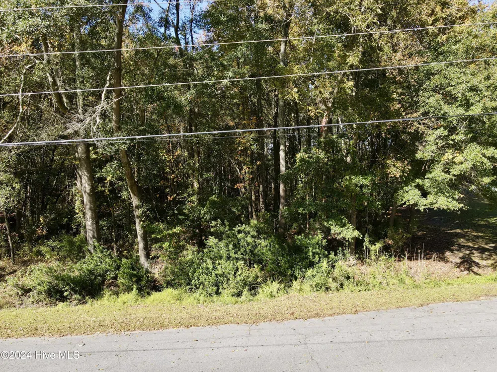 1239 Chance Boulevard Robersonville, NC 27871