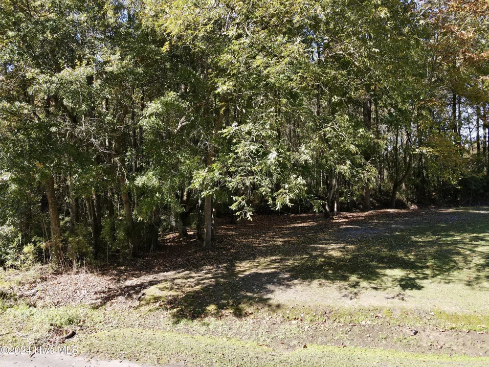 1239 Chance Boulevard Robersonville, NC 27871