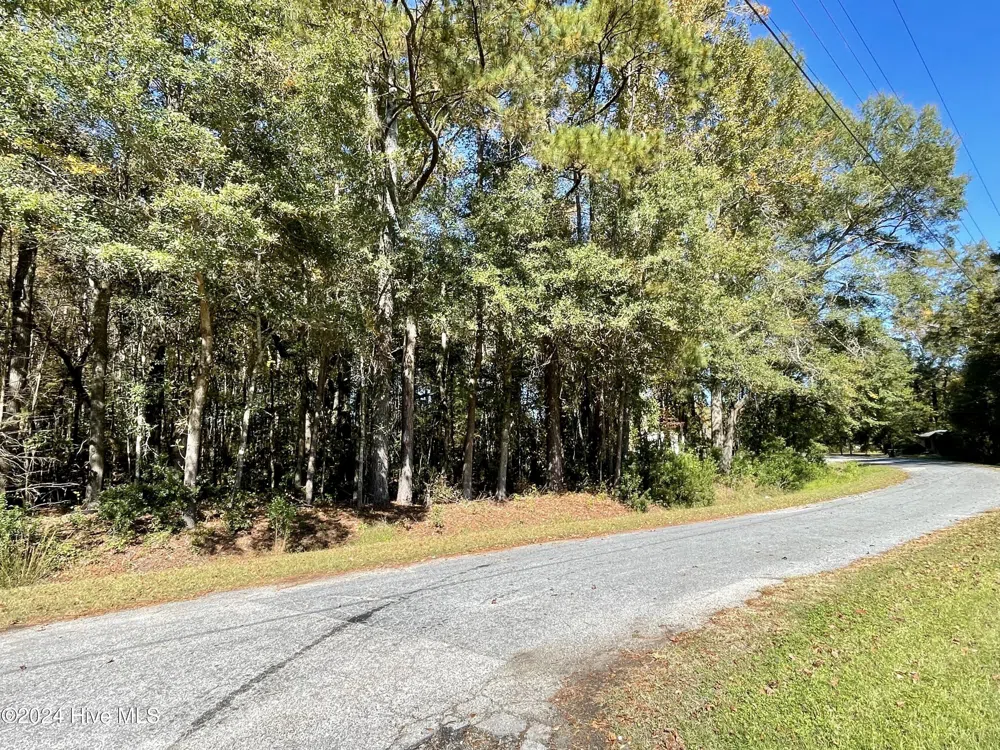 1239 Chance Boulevard Robersonville, NC 27871