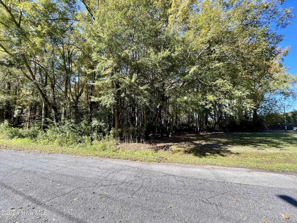 1239 Chance Boulevard Robersonville, NC 27871