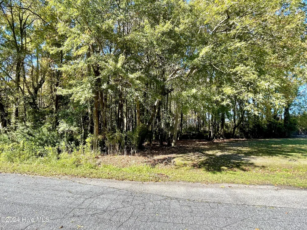 1239 Chance Boulevard Robersonville, NC 27871