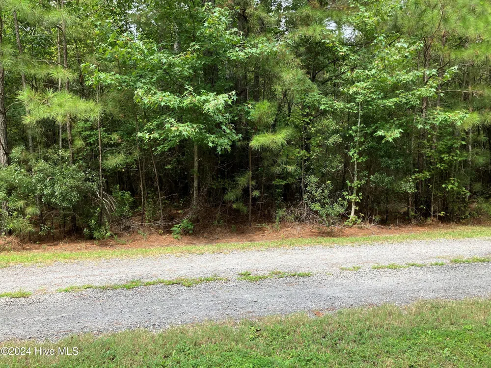 Lot 3 Kings Land Court Gates, NC 27937