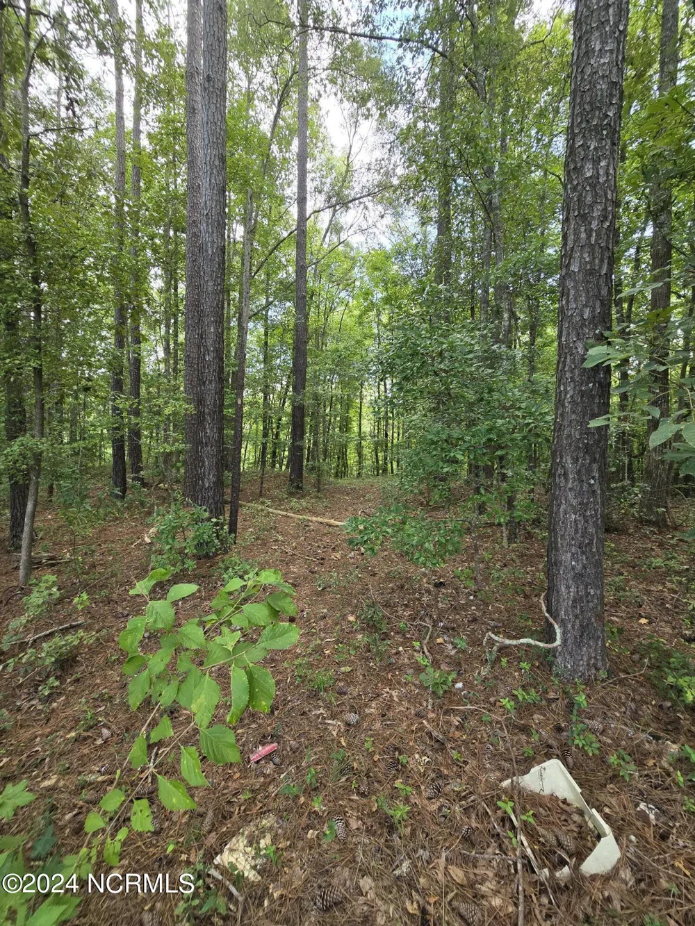 0 Mcnair Road Plymouth, NC 27962