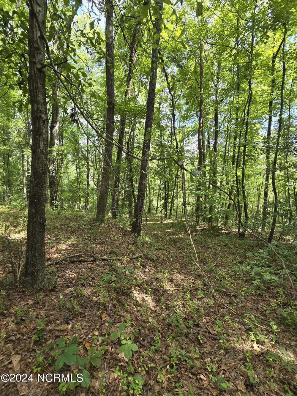 0 Mcnair Road Plymouth, NC 27962