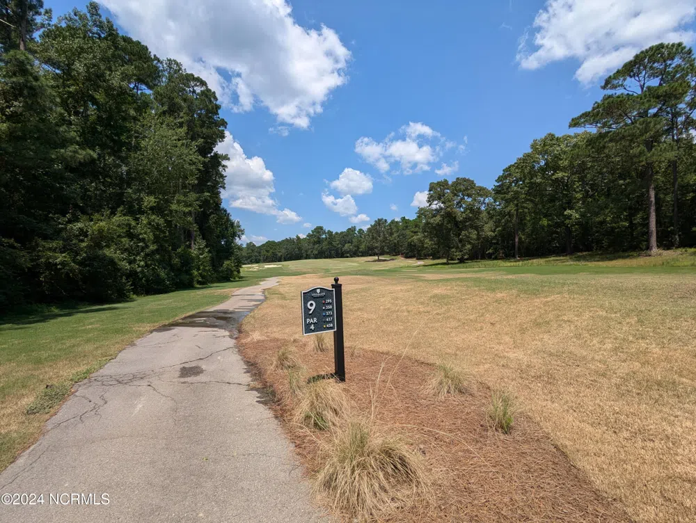 445 Thimbleberry Drive Vass, NC 28394