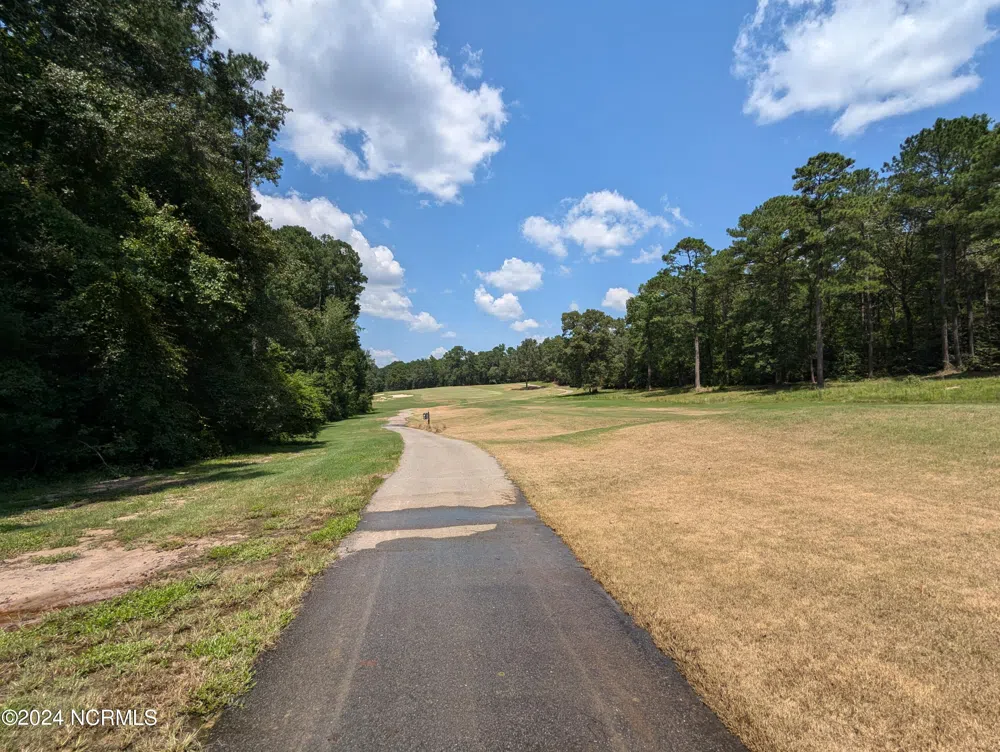 445 Thimbleberry Drive Vass, NC 28394