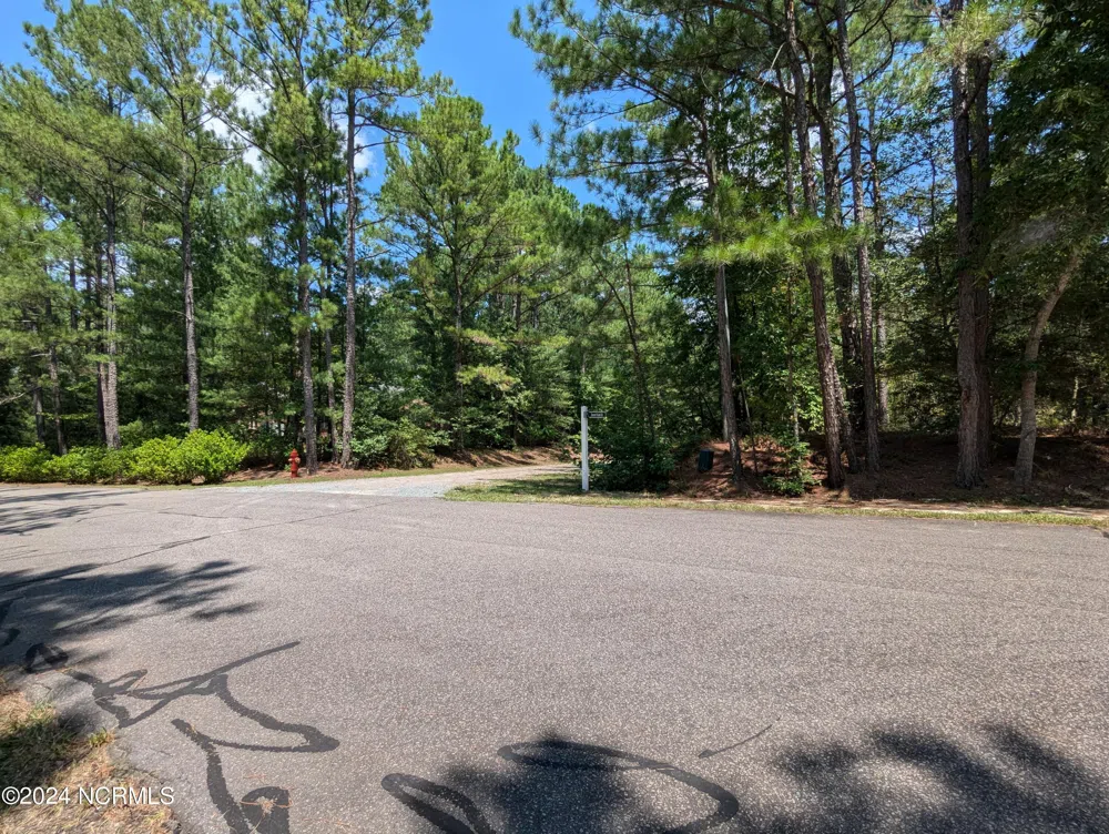 445 Thimbleberry Drive Vass, NC 28394