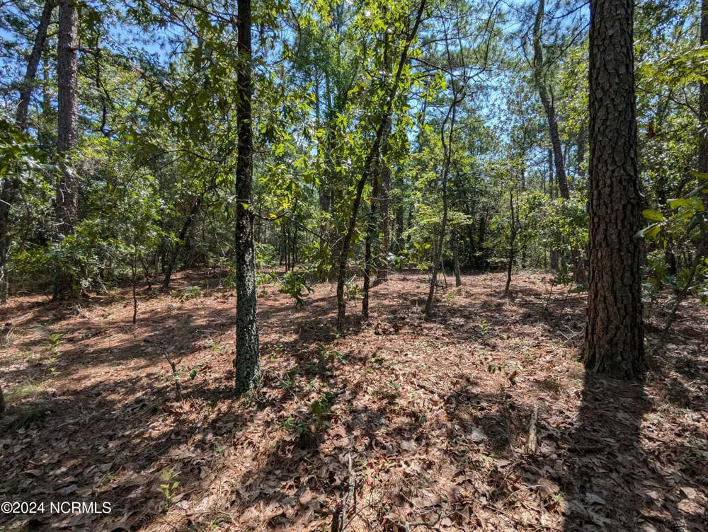445 Thimbleberry Drive Vass, NC 28394