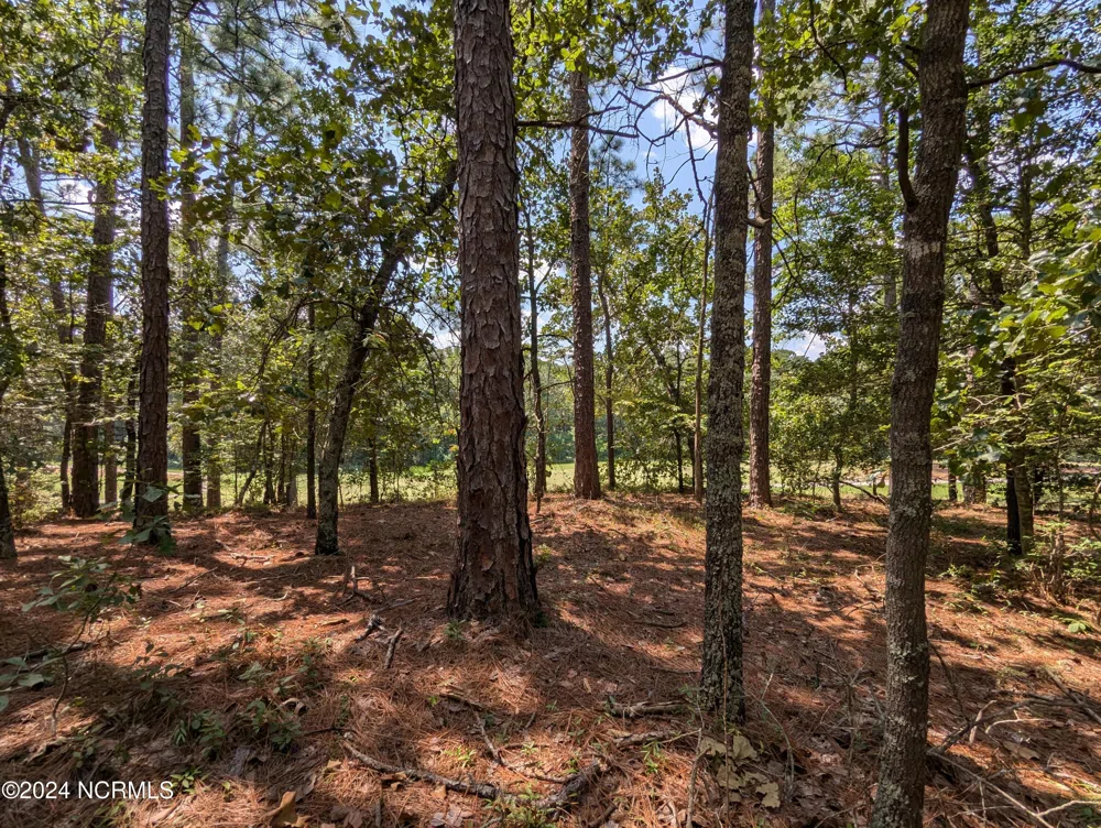 445 Thimbleberry Drive Vass, NC 28394