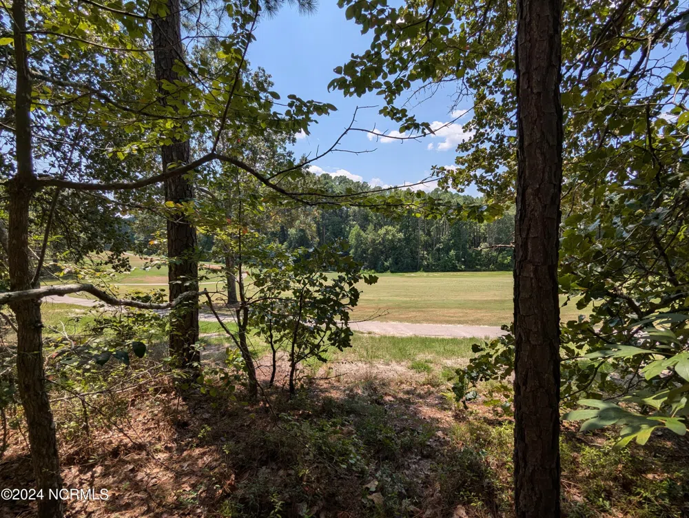 445 Thimbleberry Drive Vass, NC 28394