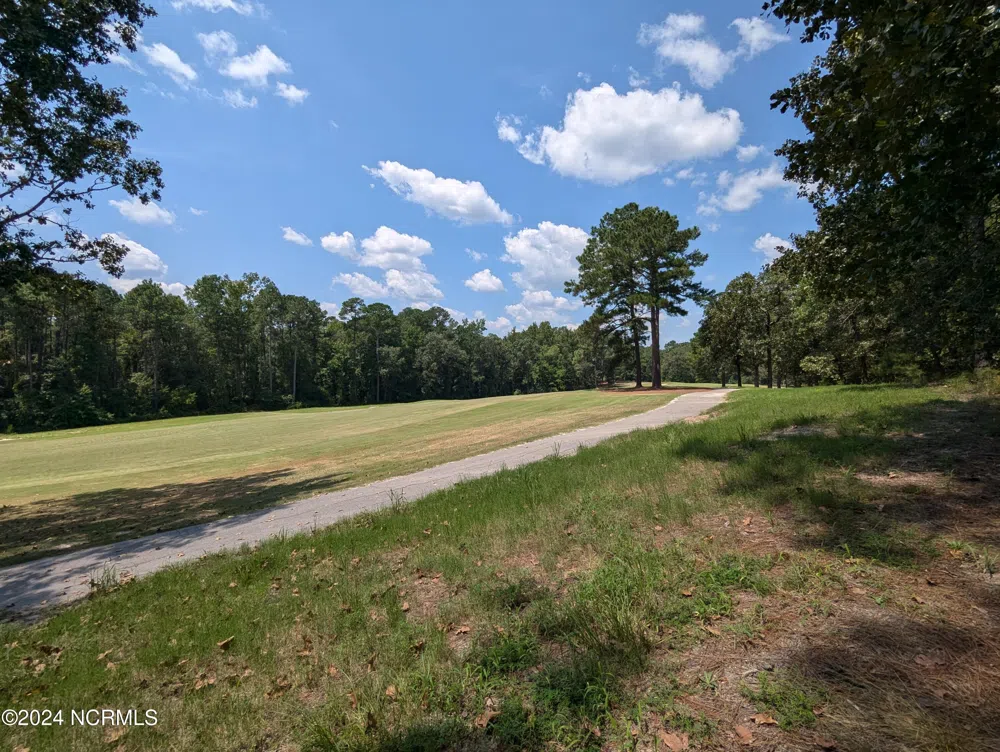 445 Thimbleberry Drive Vass, NC 28394