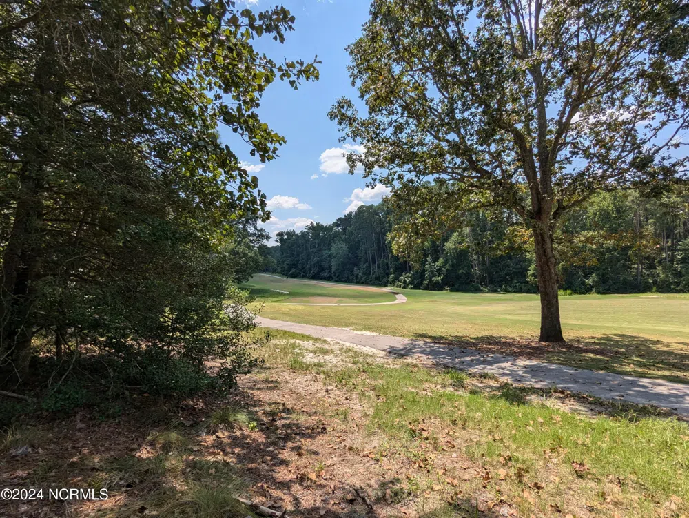 445 Thimbleberry Drive Vass, NC 28394