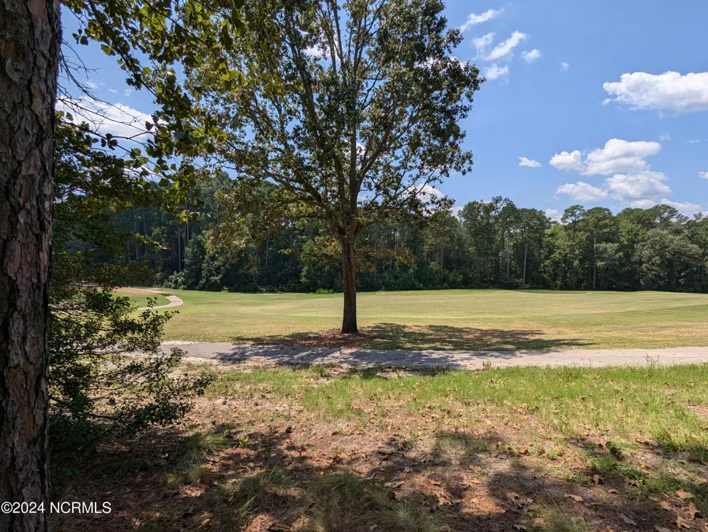 445 Thimbleberry Drive Vass, NC 28394