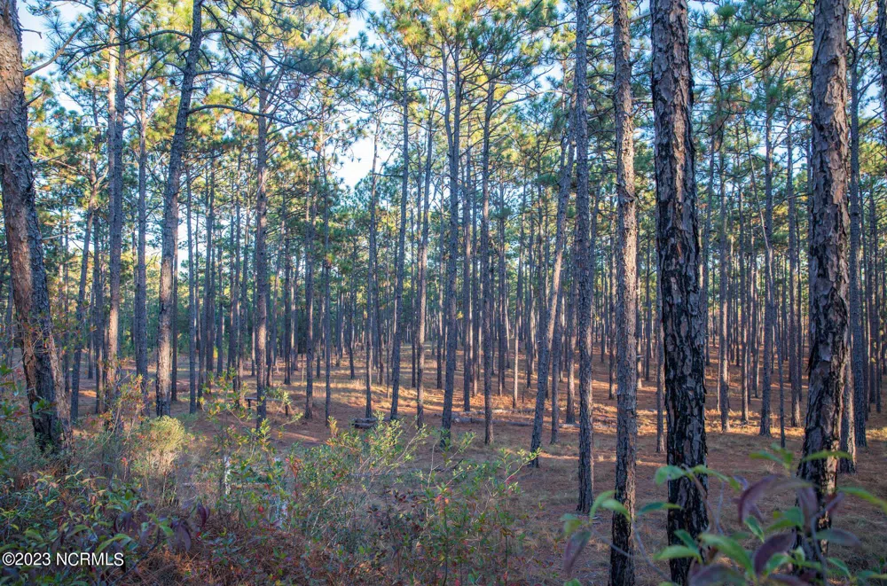145 Pixie Moss Lane Southern Pines, NC 28387