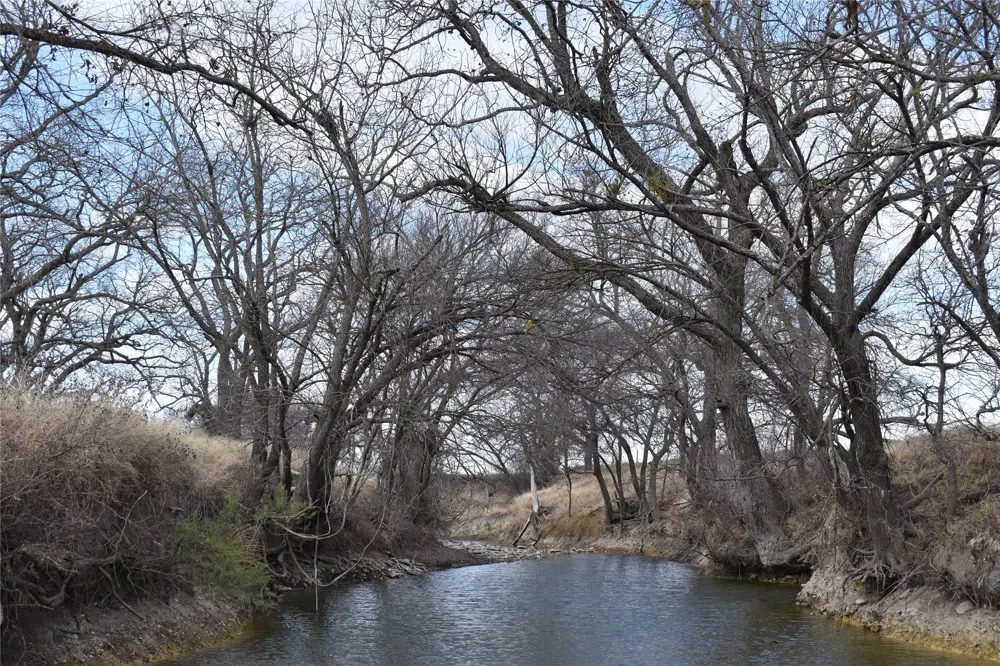 County Road 621 Hamilton, TX 76531