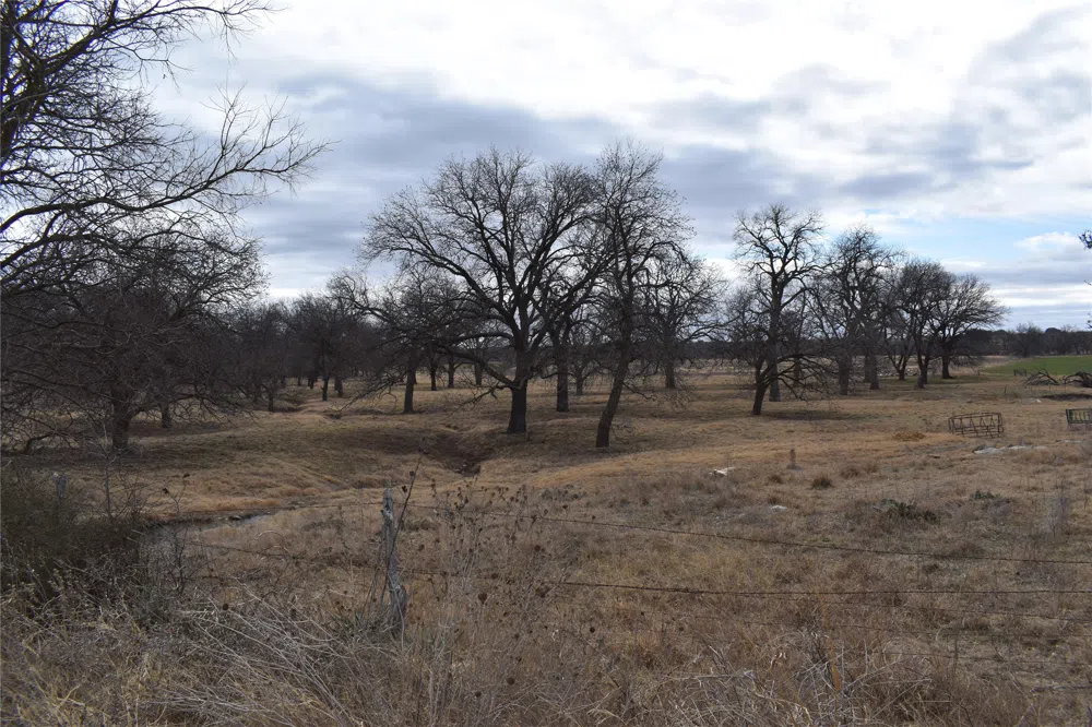 County Road 621 Hamilton, TX 76531