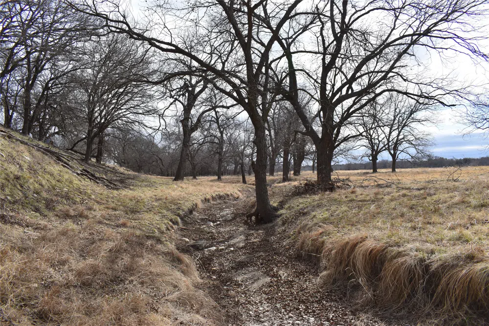 County Road 621 Hamilton, TX 76531