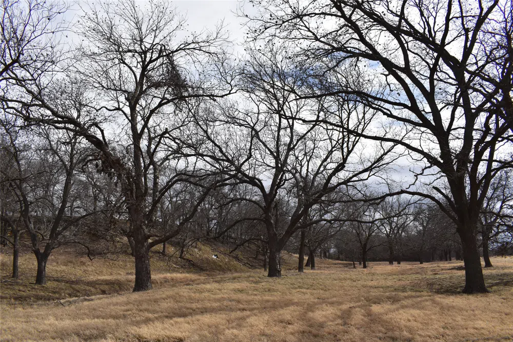 County Road 621 Hamilton, TX 76531