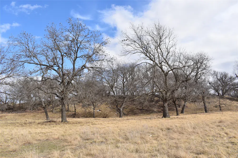 County Road 621 Hamilton, TX 76531