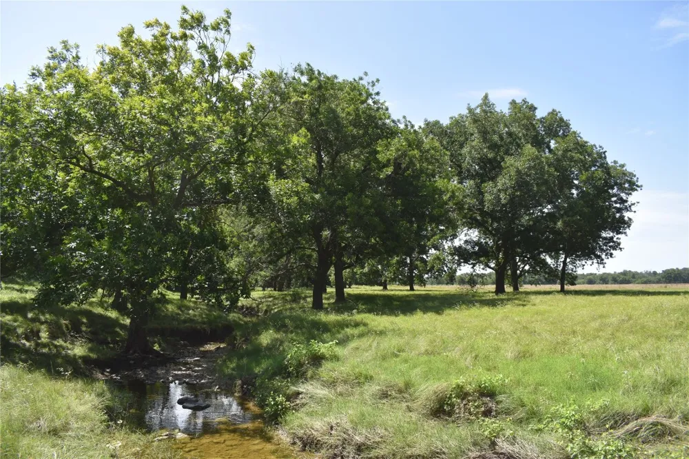 County Road 621 Hamilton, TX 76531