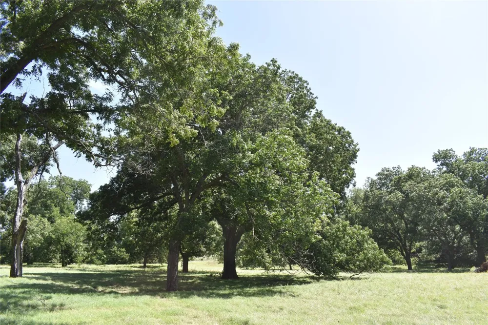County Road 621 Hamilton, TX 76531