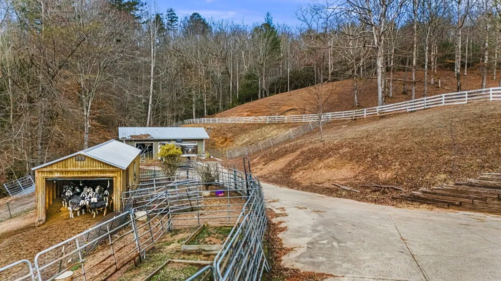 Bob Penland Hayesville, NC 28904