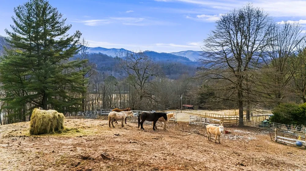 Bob Penland Hayesville, NC 28904