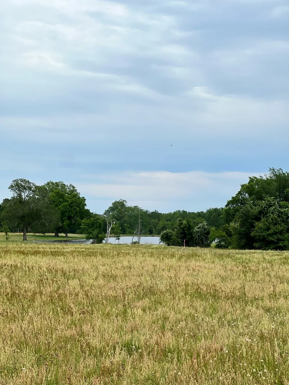 2 Davis Road Smithville, TX 78957